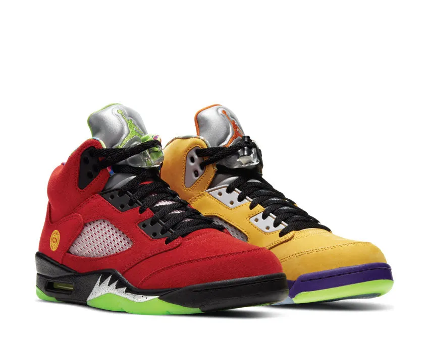 Air Jordan 5 Retro SE