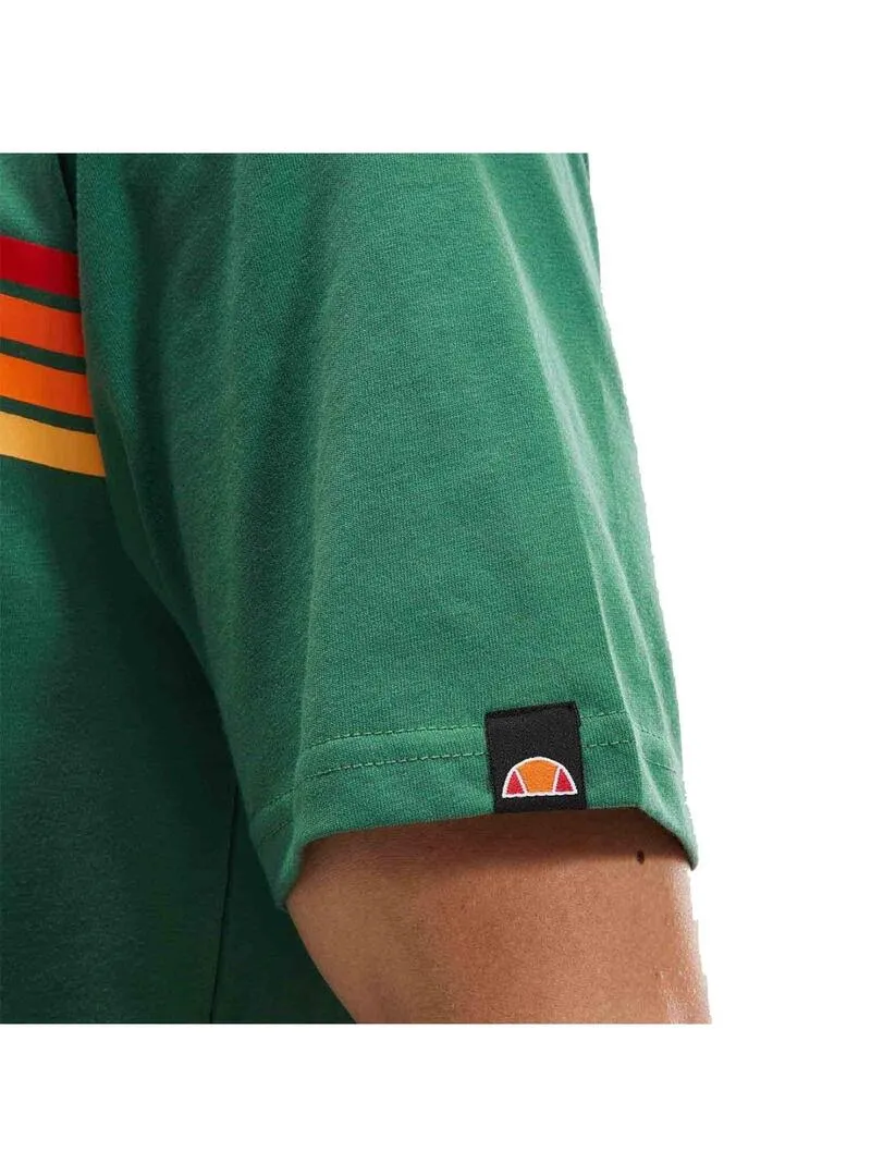 Camiseta Hombre Ellesse Sorranta Verde