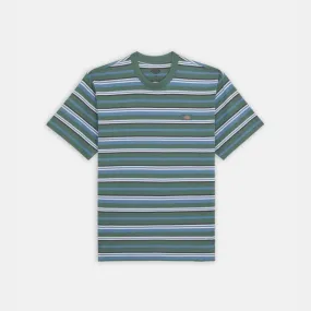 Dickies Glade Spring T-Shirt Stripe Blue