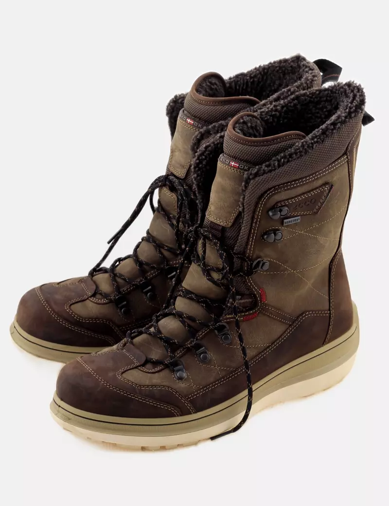 ECCO Botas Gore-tex