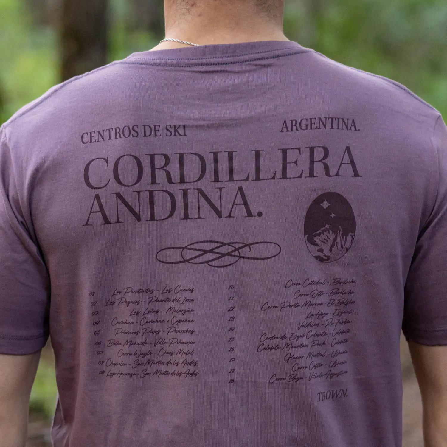 Remera MC Cordillera