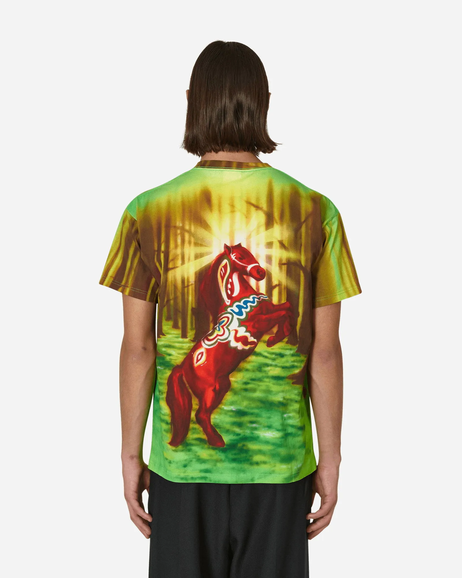 Stockholm (Surfboard) Club Airbrush Horse T-Shirt