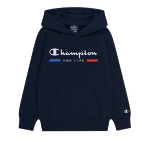  Sudaderas Champion Hooded Sweatshirt